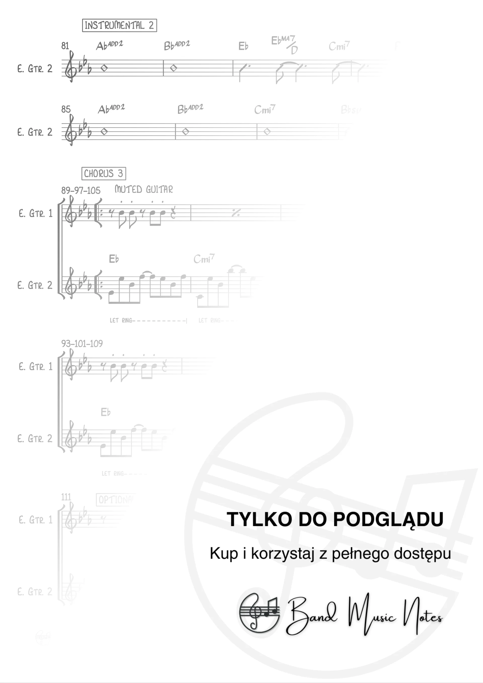 Andrzej Piaseczny & Robert Chojnacki - Niecierpliwi - Electric Guitar Part 1 & 2_0003