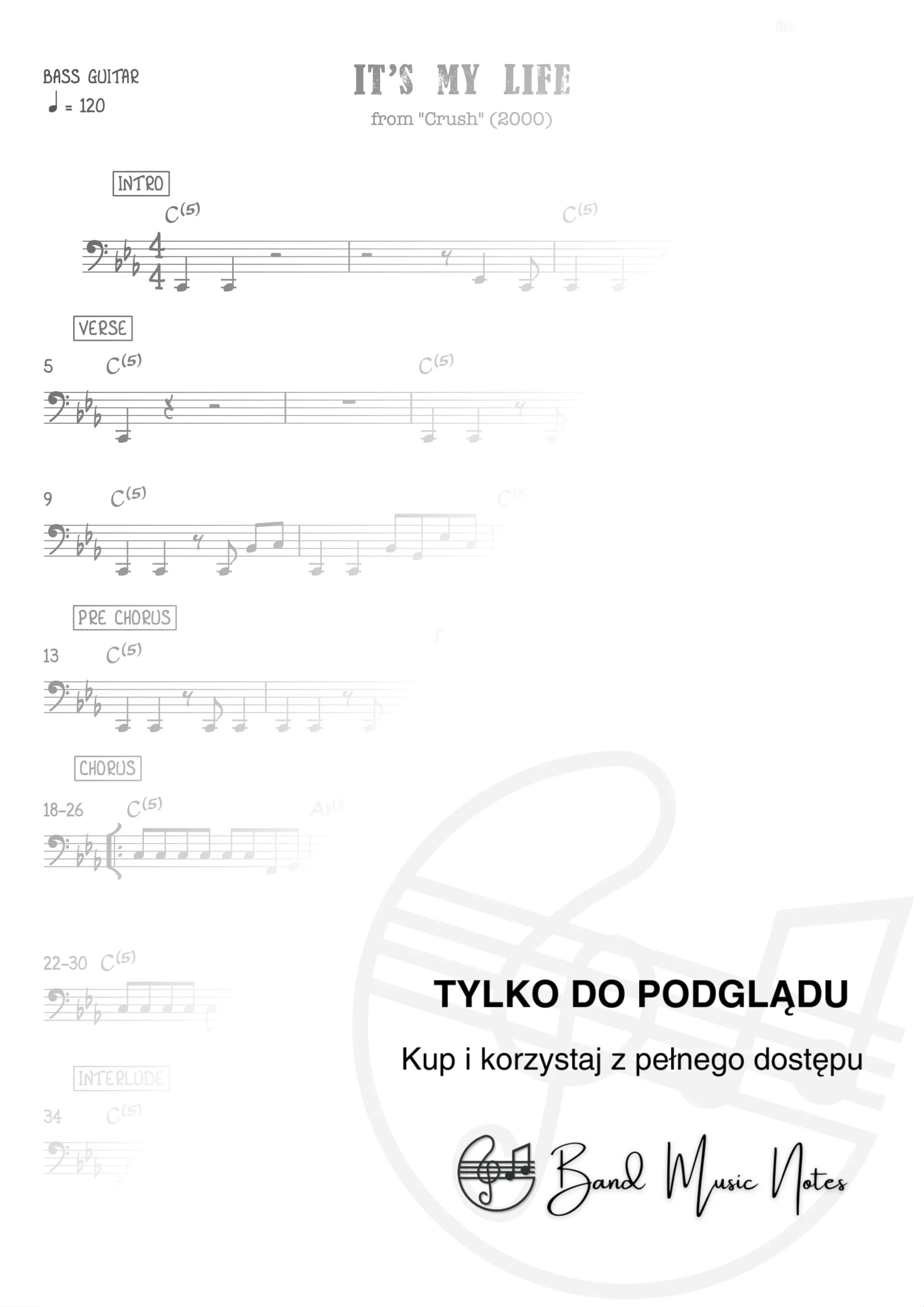 Bon Jovi - It's My Life - Bass Guitar Part_0001