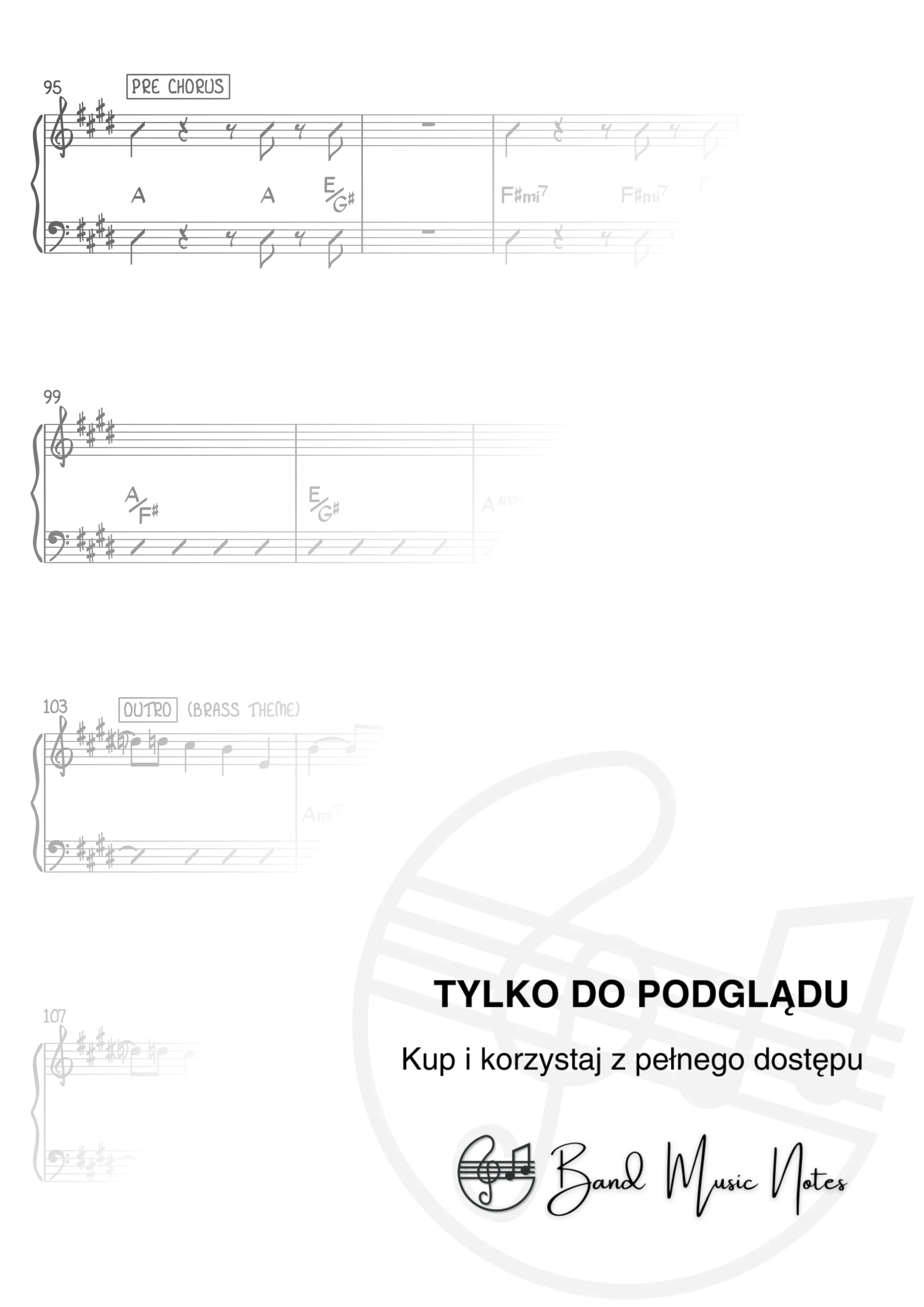 Singin' Birds - Nie miały aniołki - Band Score_0005