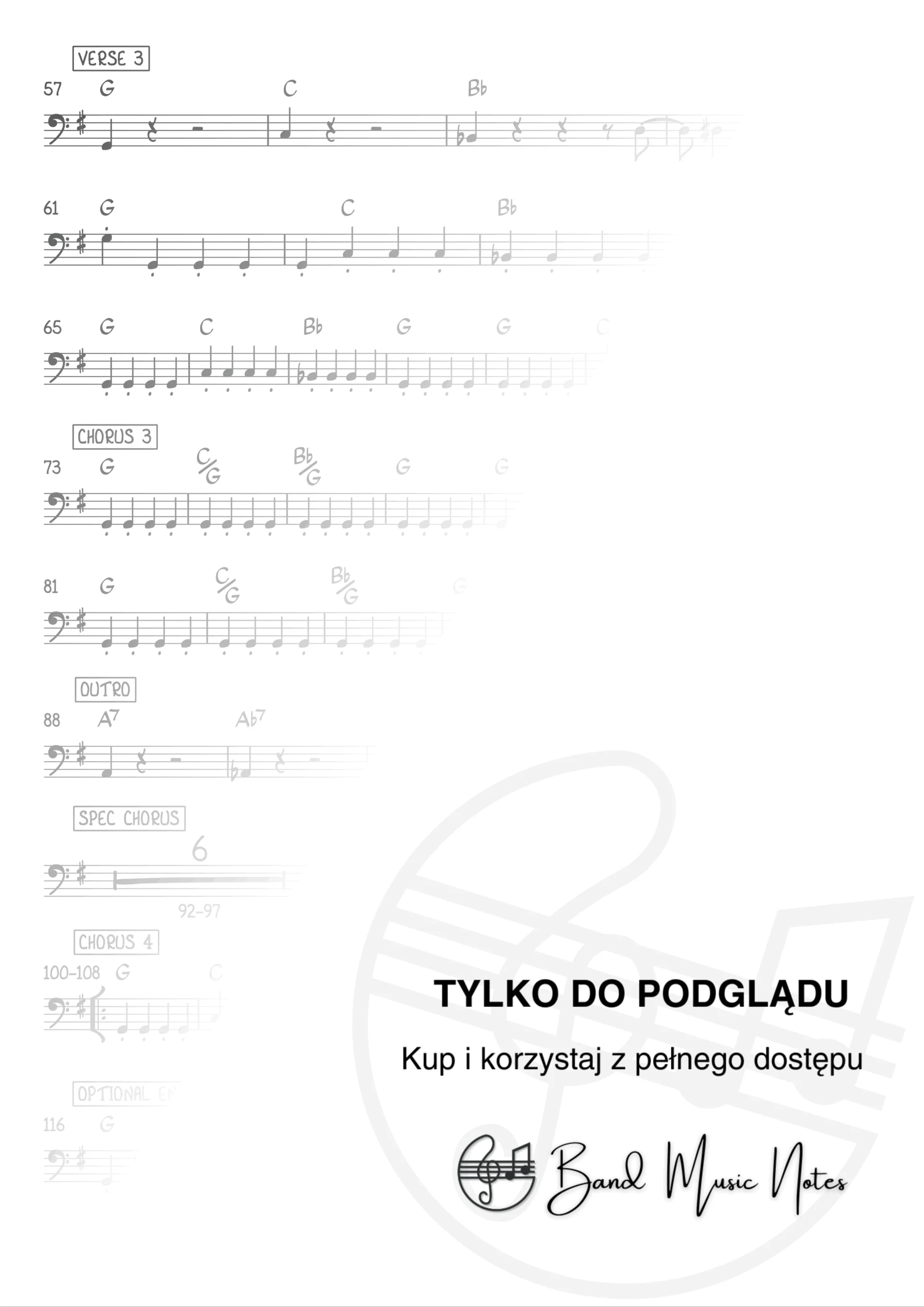 Zdzisława Sośnicka - Moja muzyka to ja - Bass Guitar Part_0002